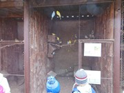 Vánoční výlet - Ekocentrum Mladá Boleslav